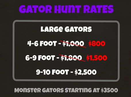 Florida Gator Hunt Rates