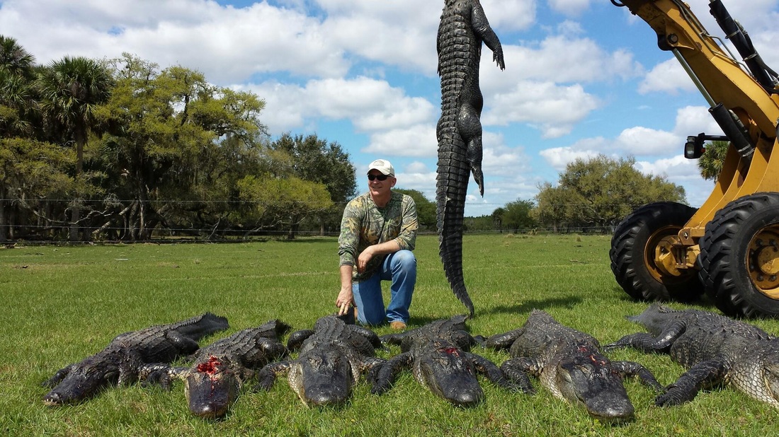 Big 'O' Can Take You on The Alligator Hunt You Want