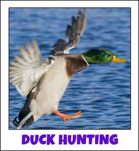 Lake Okeechobee Duck Hunting