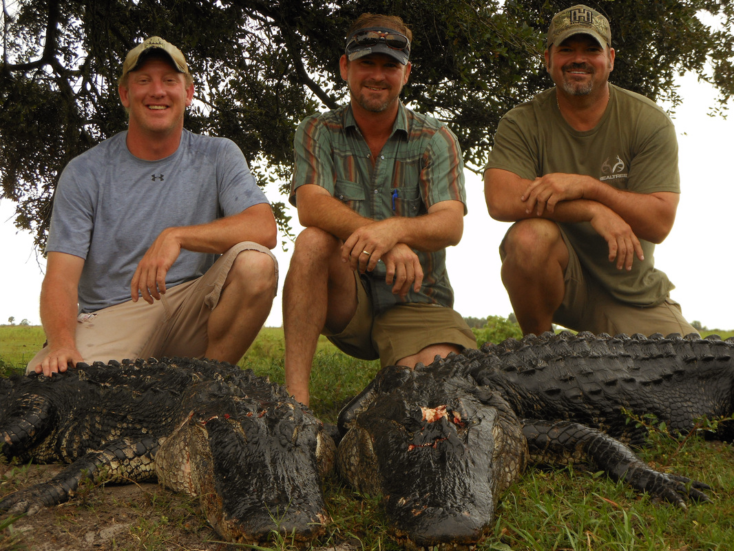 Successful Florida Guided Alligator Hunt