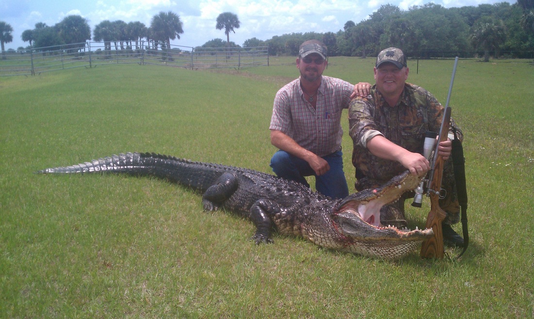 Hunt your perfect trophy alligator with Big 'O'