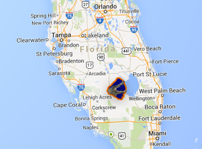 Wild Florida Gator Hunt Locations